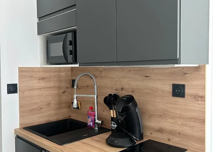 Cocoon Au Pied Des Montagnes Apartment *